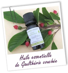 AROMA ZONE - HUILE ESSENTIELLE GAULTHÉRIE COUCHÉE
