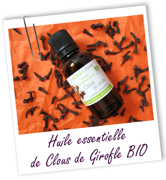 AROMA ZONE - HUILE ESSENTIELLE CLOUS DE GIROFLE BIO