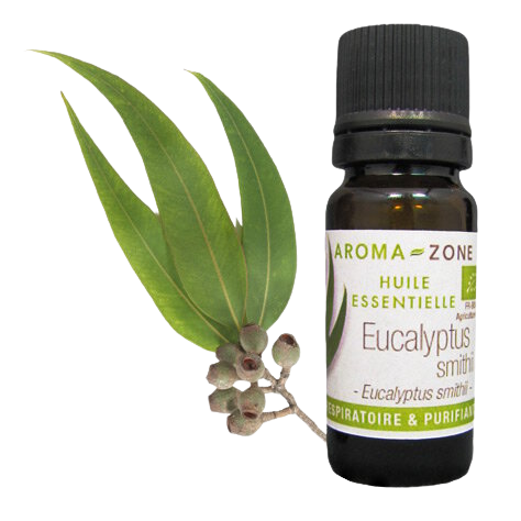 AROMA ZONE - HUILE ESSENTIELLE EUCALYPTUS SMITHII BIO