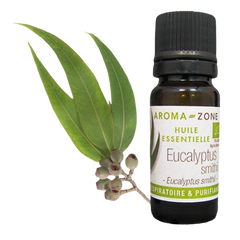 AROMA ZONE - HUILE ESSENTIELLE EUCALYPTUS SMITHII BIO