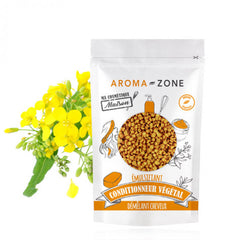 AROMA ZONE - EMULSIFIANT CONDITIONNEUR VEGETAL