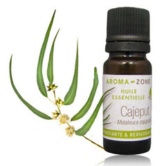 AROMA ZONE - HUILE ESSENTIELLE DE CAJEPUT