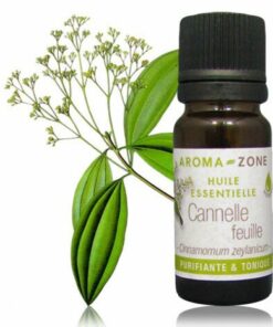 AROMA ZONE – HUILE ESSENTIELLE GINGEMBRE – Aya Léya