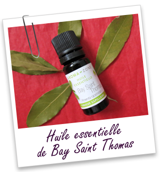 AROMA ZONE – ROLL-ON AUX HUILES ESSENTIELLES TÊTE & TEMPES – Aya Léya